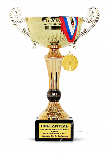 Победитель открытого чемпионата г. Уфы по волейболу 2014 года